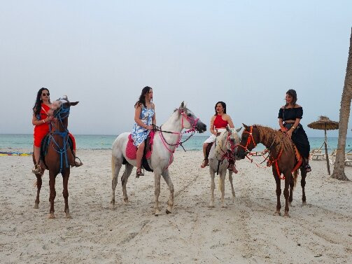 Flamingo Club Quads Djerba-Mezraia必去景点