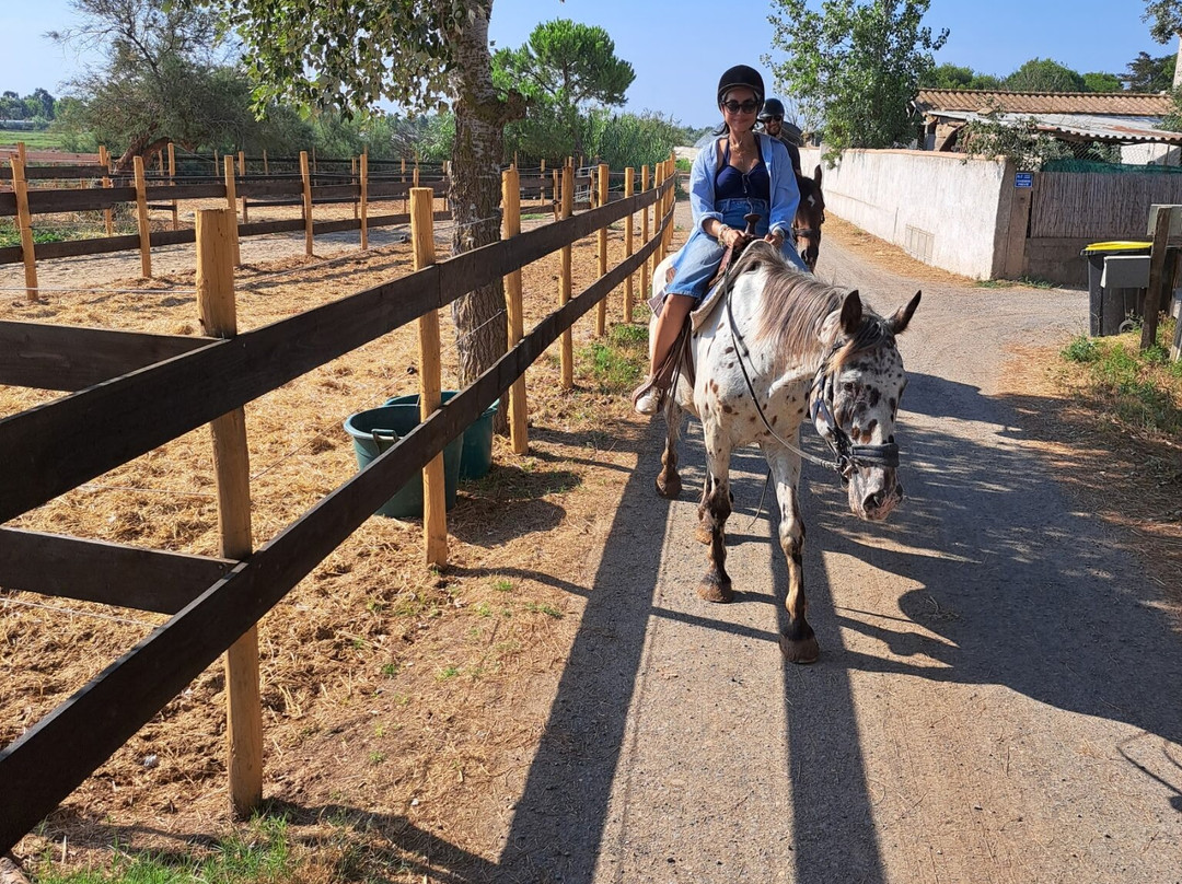 Ranch La Camargue-Marseillan Plage必去景点