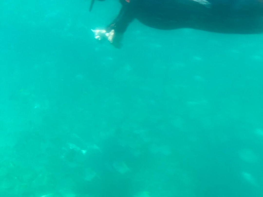 Nemo Diving Center - Fujairah-Dibba Al Fujairah必去景点