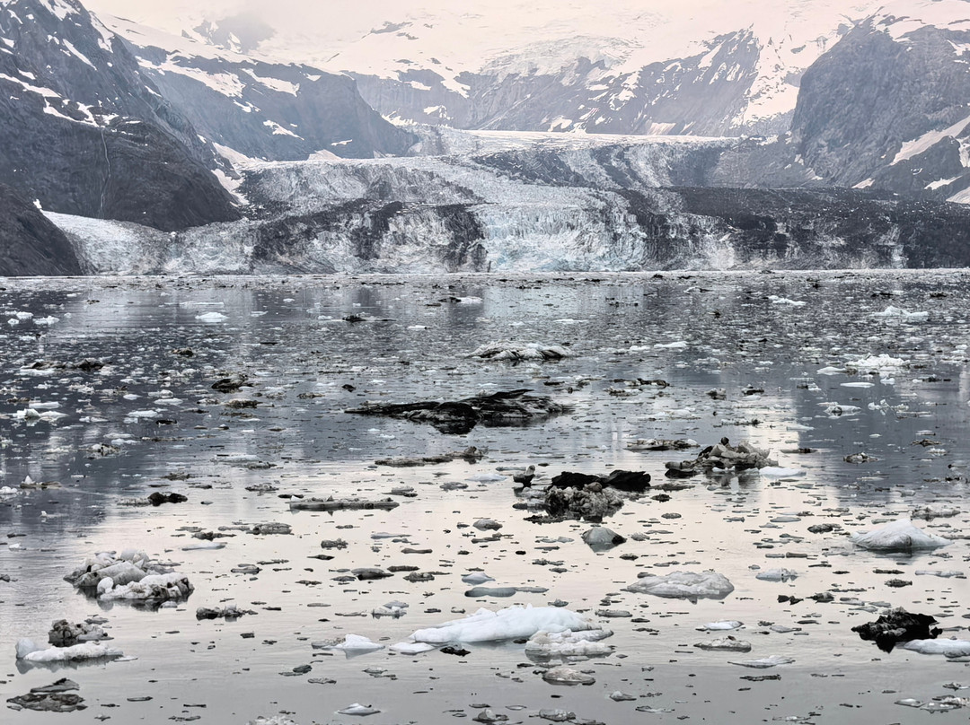 冰川湾-Glacier Bay National Park and Preserve必去景点