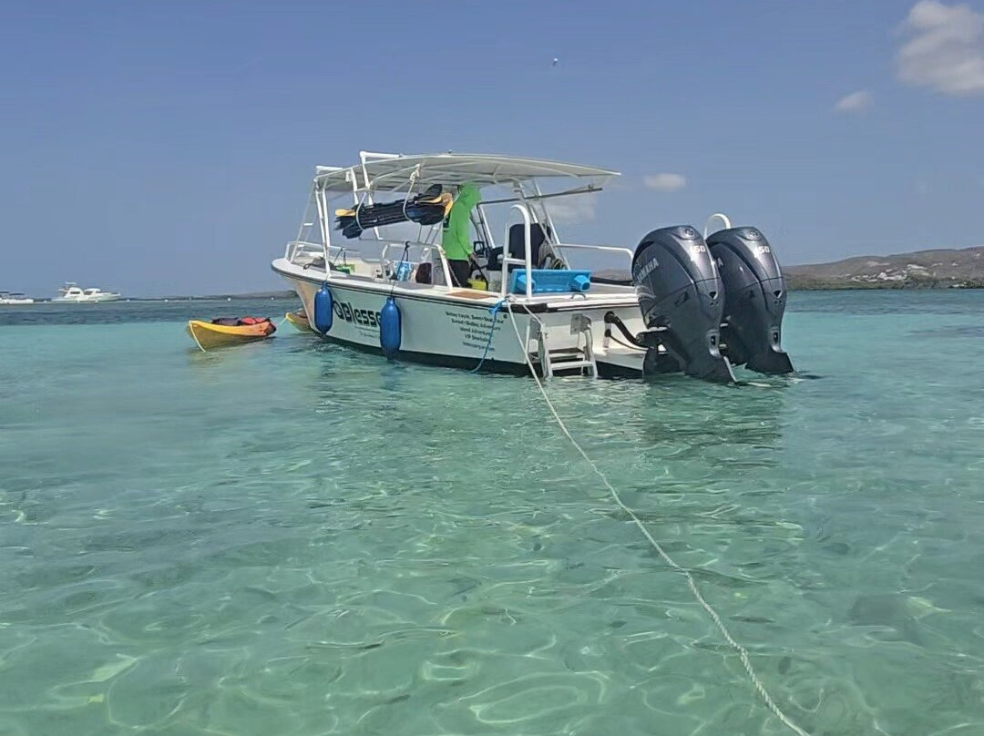 Parguera Water Sports-La Parguera必去景点