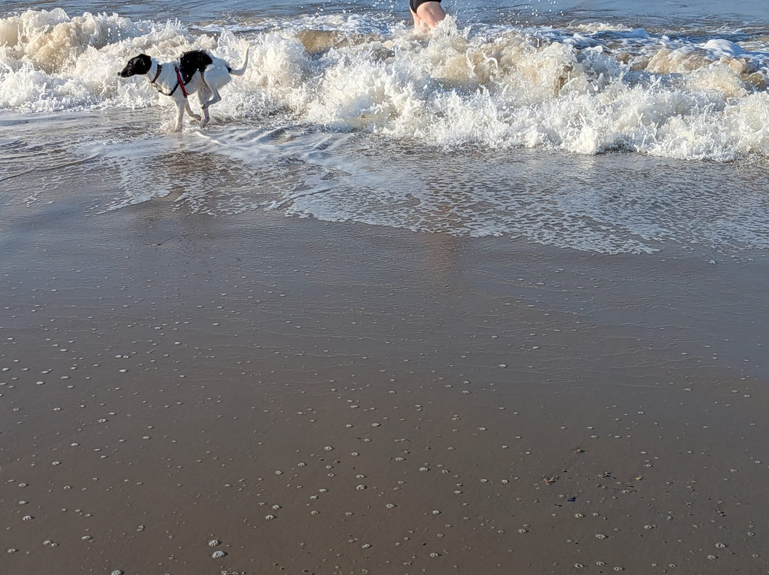Bacton Beach-Bacton必去景点