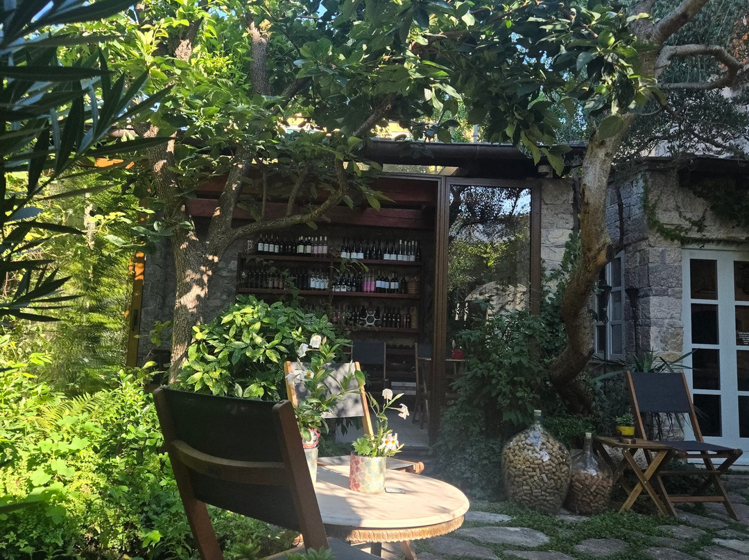 Wine Garden-斯克拉丁必去景点