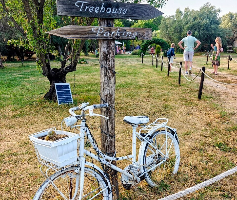 Palazzo Conforti Tree House Resort主图