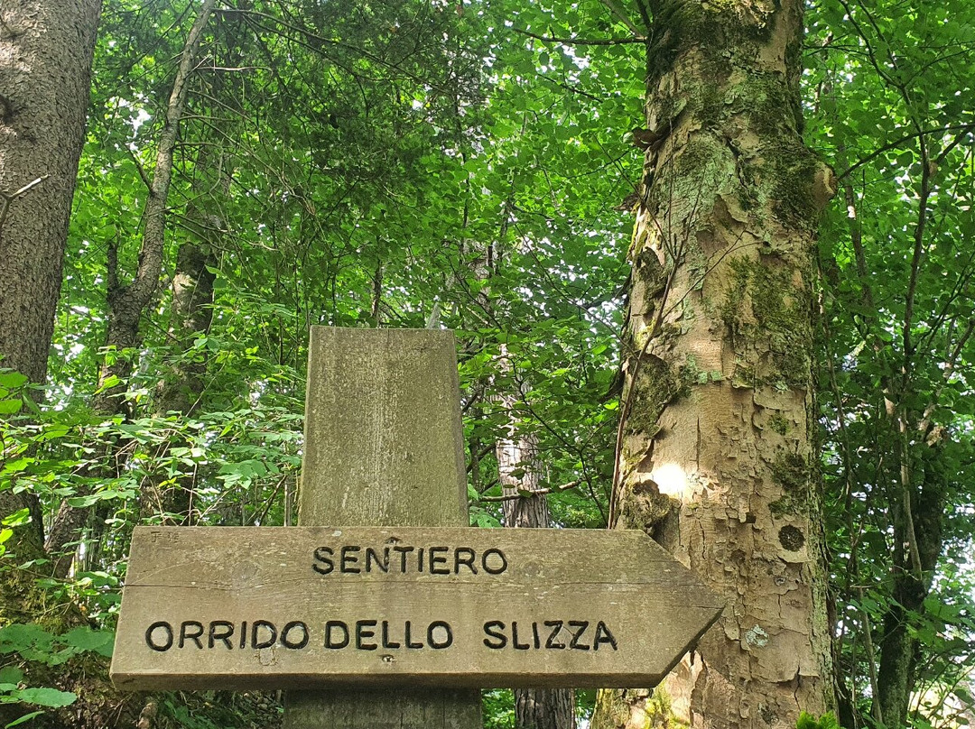 Orrido dello Slizza-Tarvisio必去景点