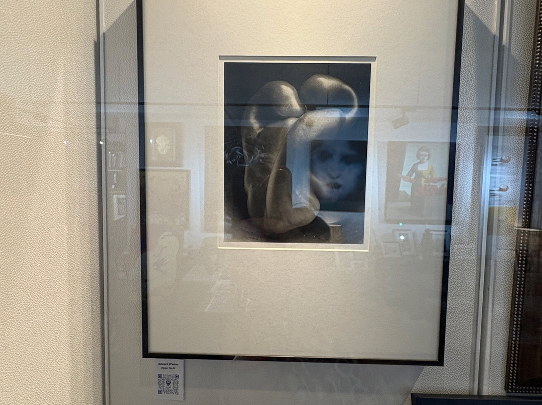 Art Alba Gallery-香港必去景点