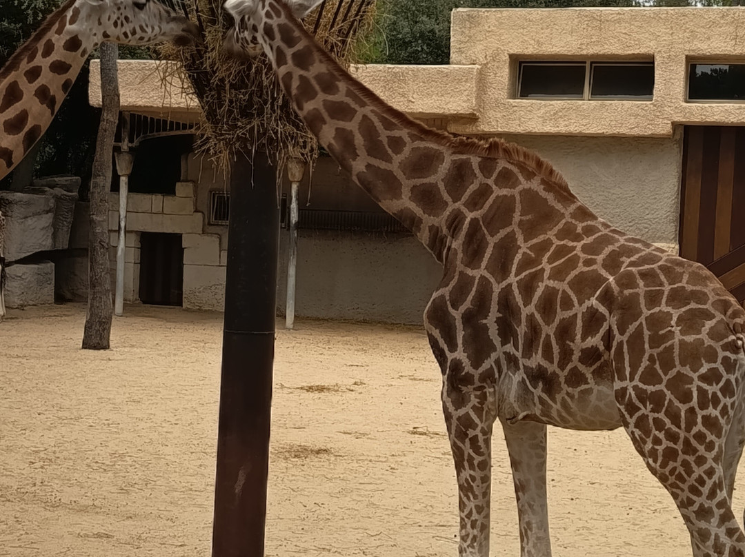 Zoo de La Palmyre-La Palmyre-Les Mathes必去景点