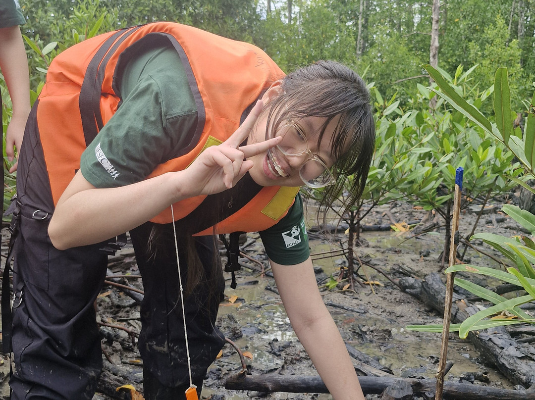 Matang Mangrove Forest Reserve-Kuala Sepetang必去景点