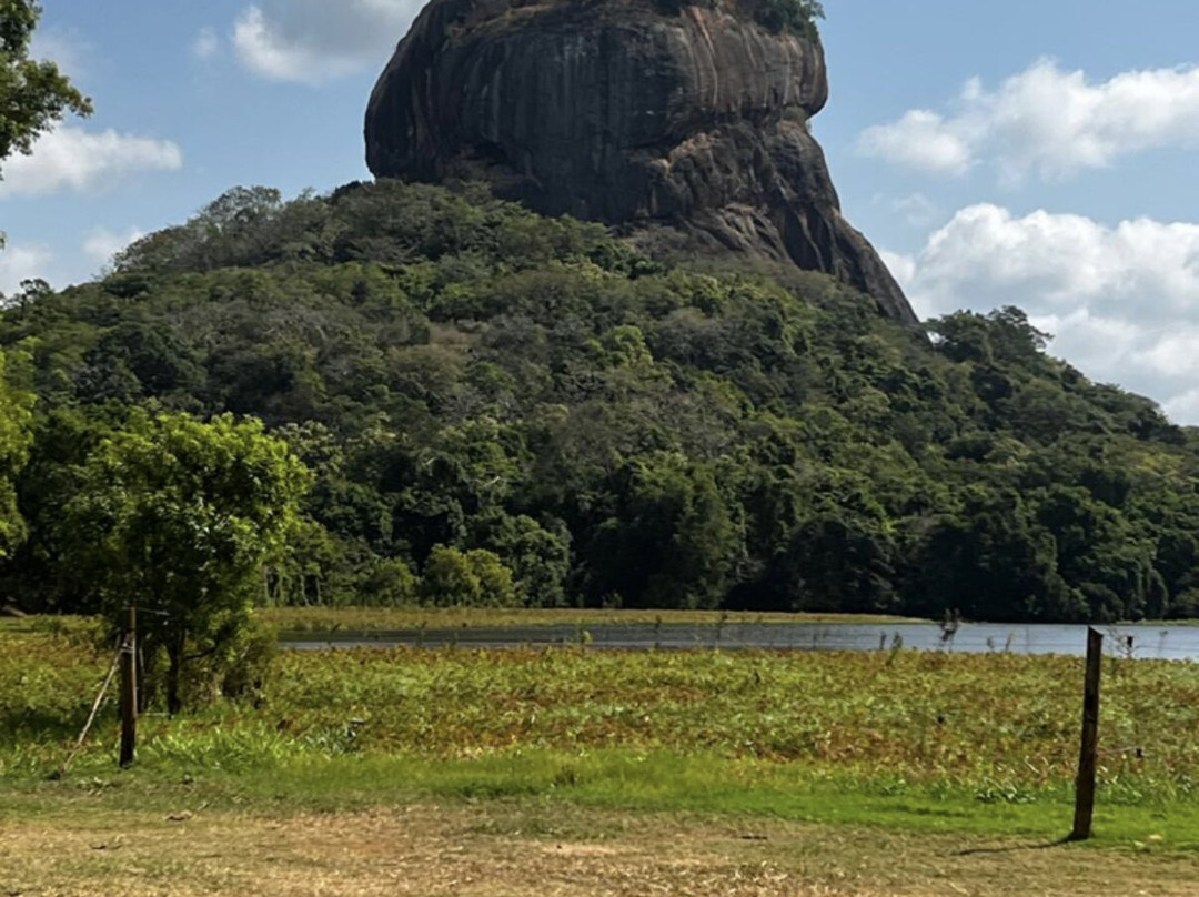 Unwind Ceylon Tours-马塔拉必去景点