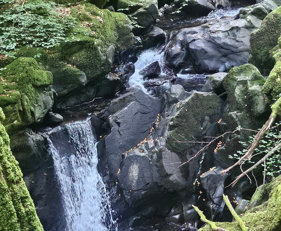 Torrent Walk-Dolgellau必去景点