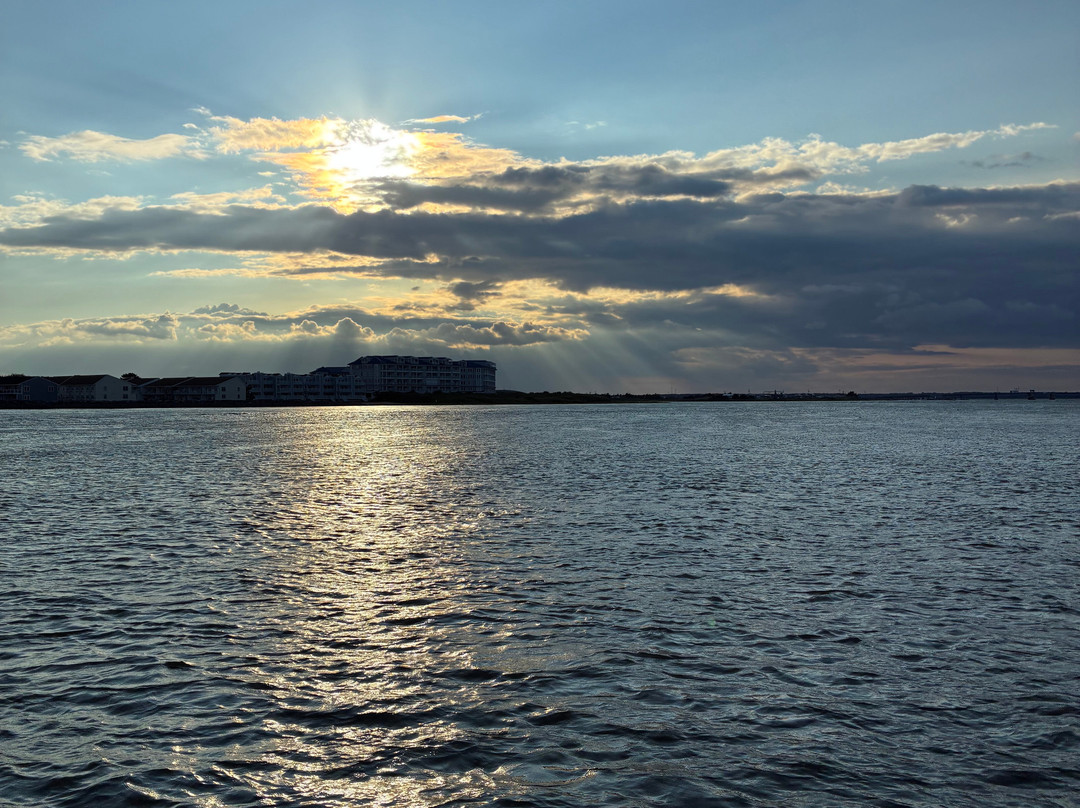 Salt Marsh Safari The Skimmer-Stone Harbor必去景点
