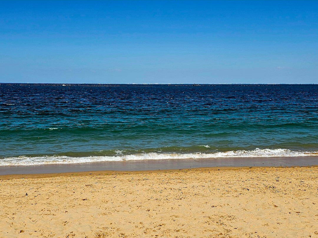 Saumonards Beach-Saint-Georges-d'Oleron必去景点