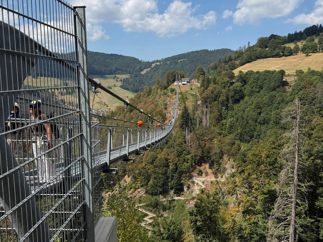 Black Forest Line Todtnau-托特瑙必去景点