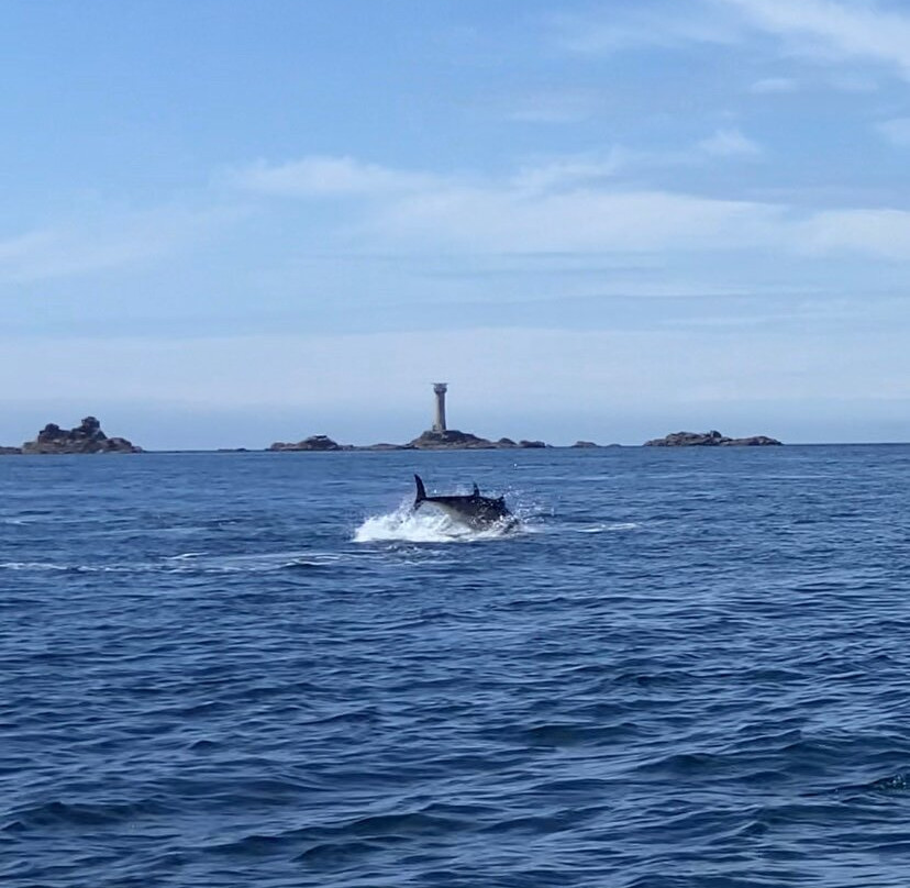 Coast Boat Trips-彭赞斯必去景点