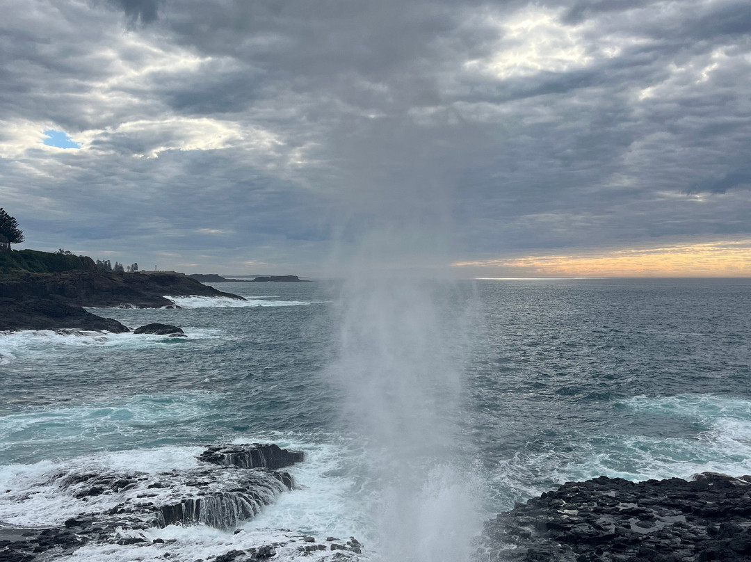 Kiama Coastal Walk-凯马必去景点