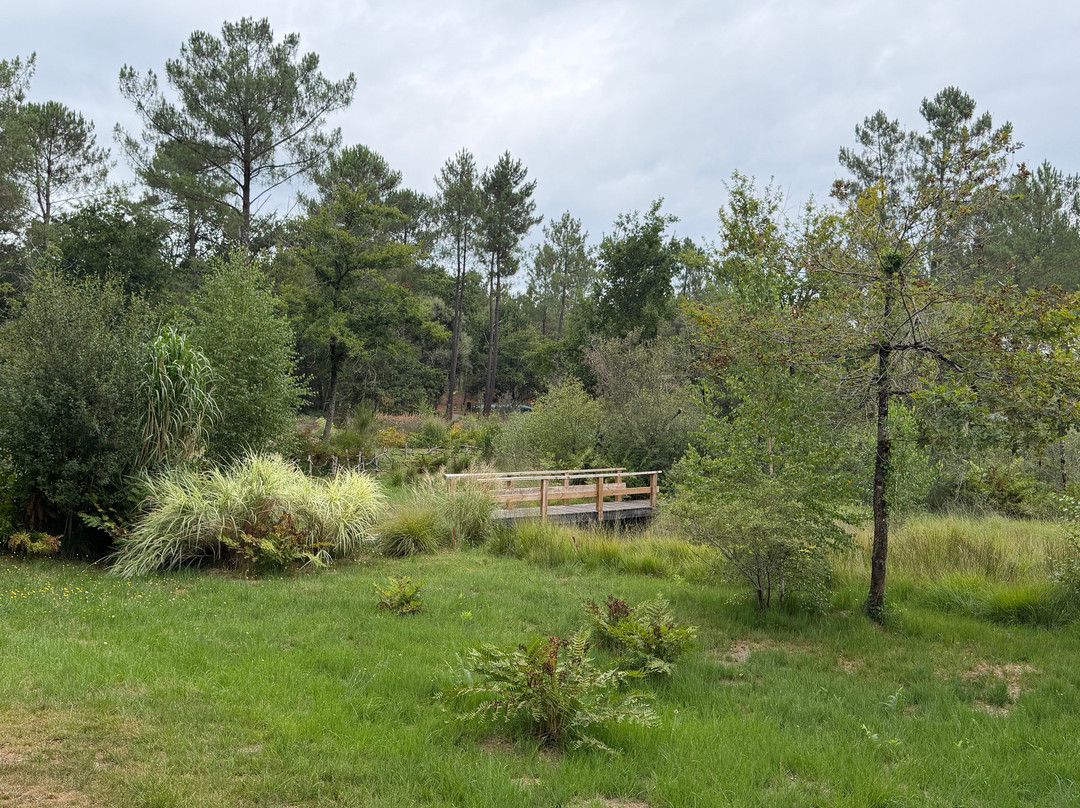 Jardin Côte d'Argent-Leon必去景点