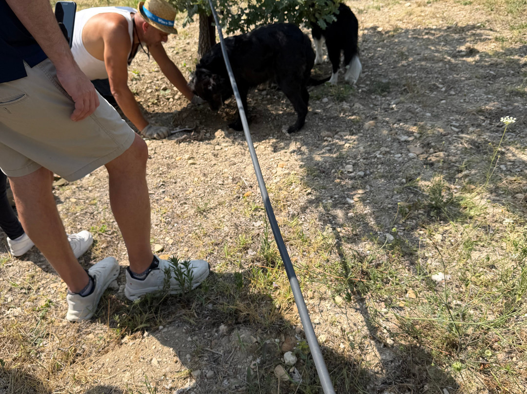 Truffle Hunting at Les Pastras-Cadenet必去景点