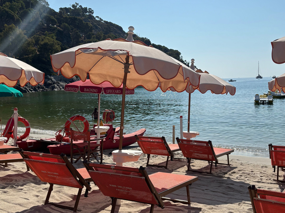 Spiaggia di Fetovaia-Campo nell'Elba必去景点