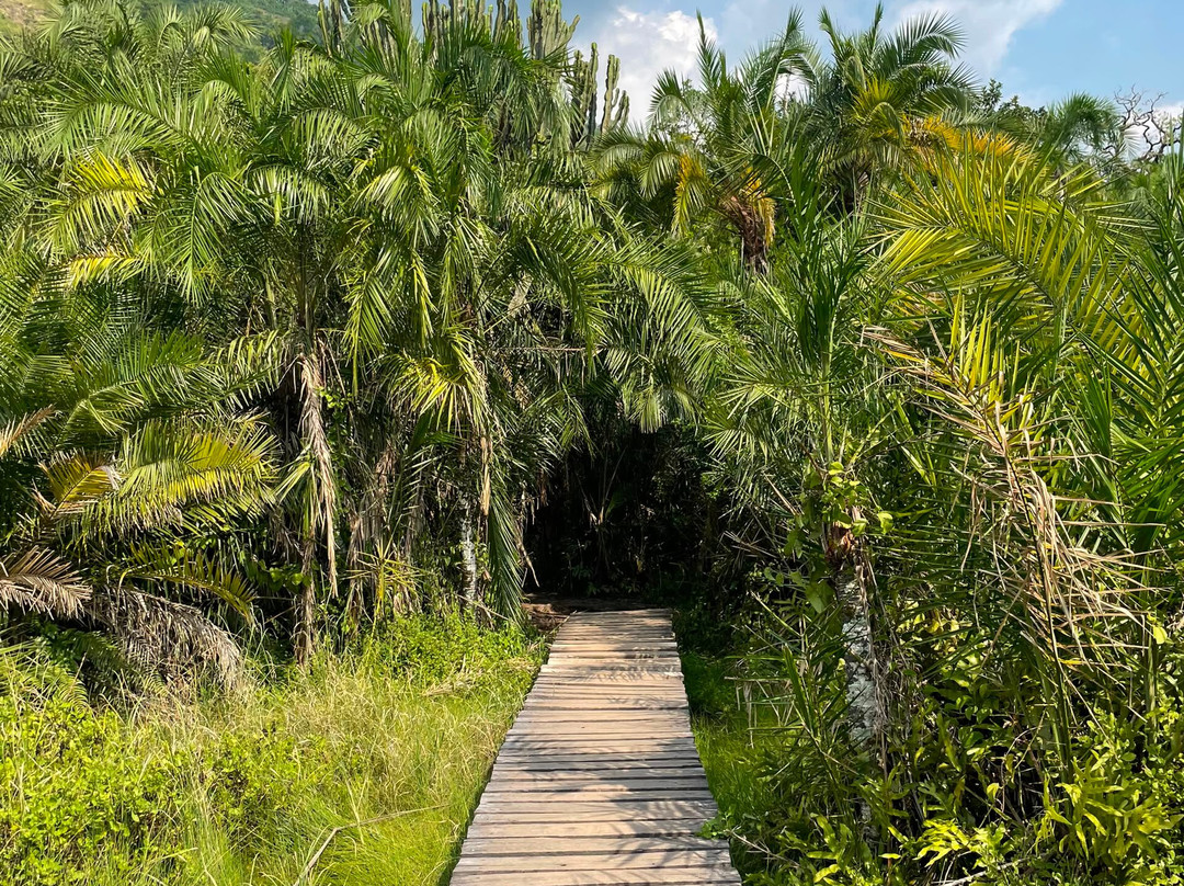 African Jungle Tours and Travel-坎帕拉必去景点