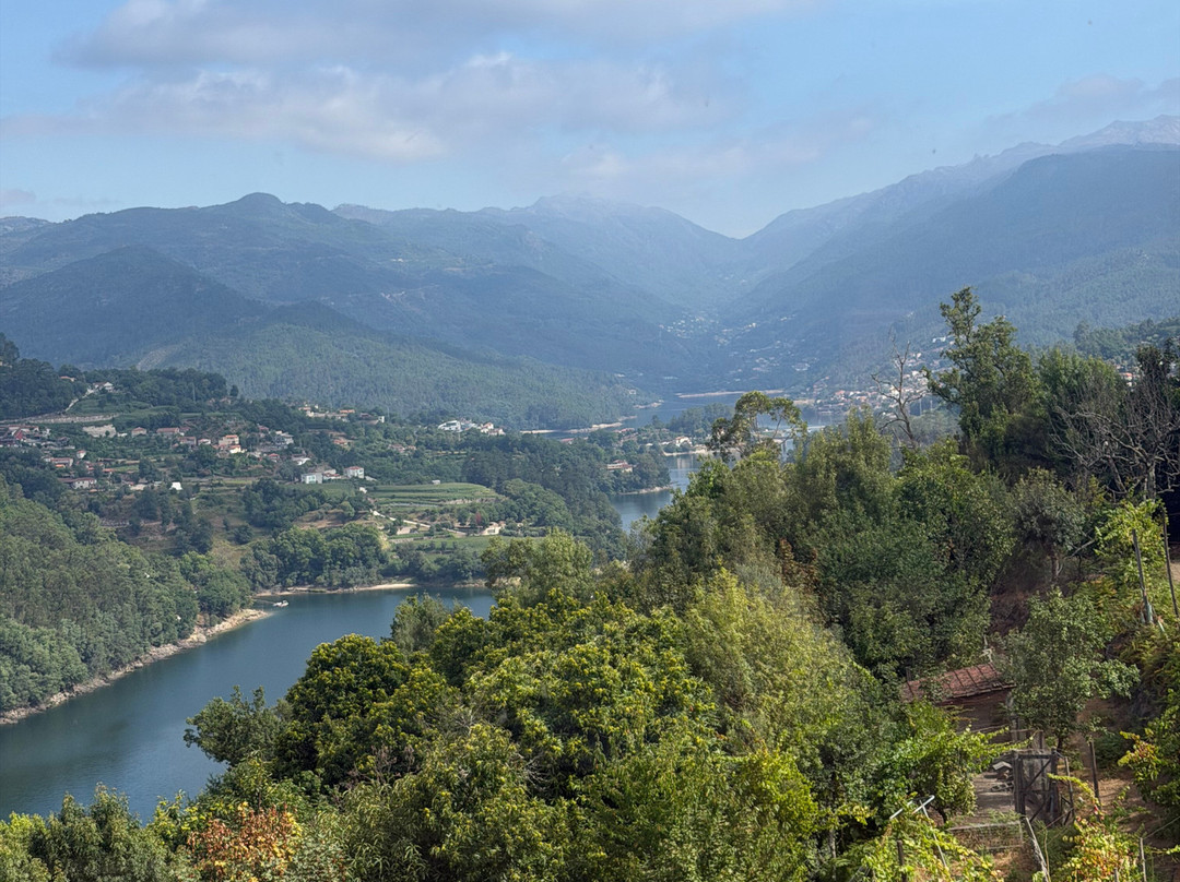 Quinta de Calvelos主图
