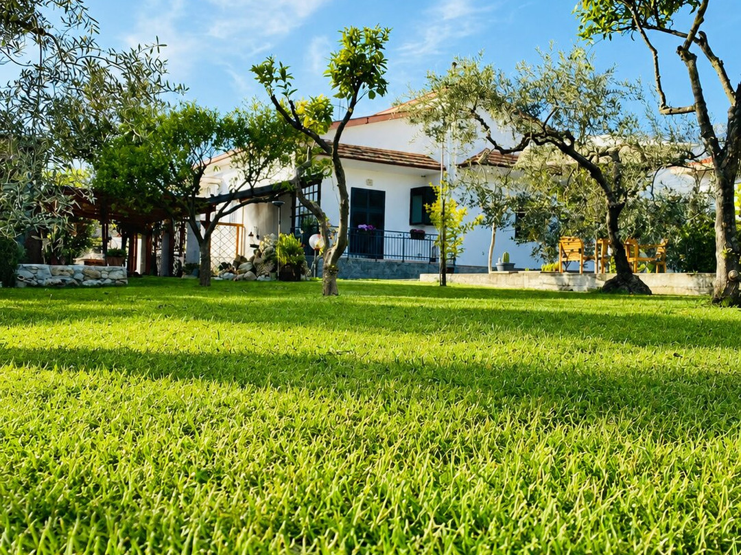 CasadiCampo