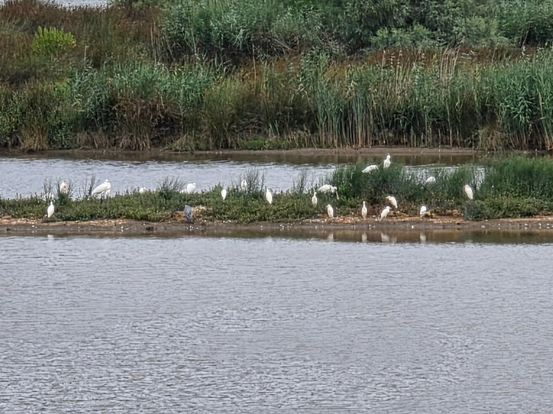 Urdaibai Bird Center-Gautegiz Arteaga必去景点