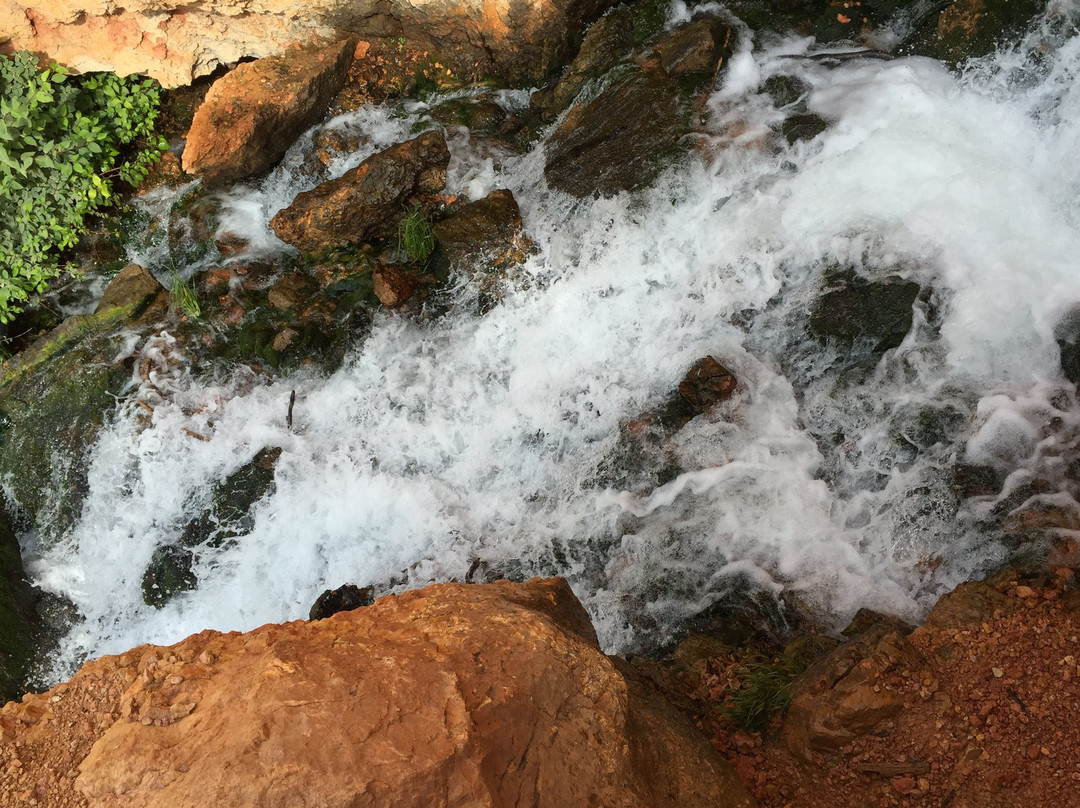 Cascade Falls Trail-锡达城必去景点
