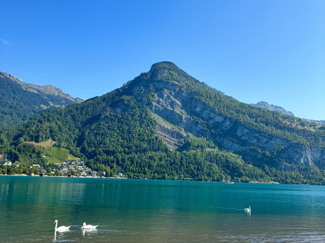Walensee-Walenstadt必去景点