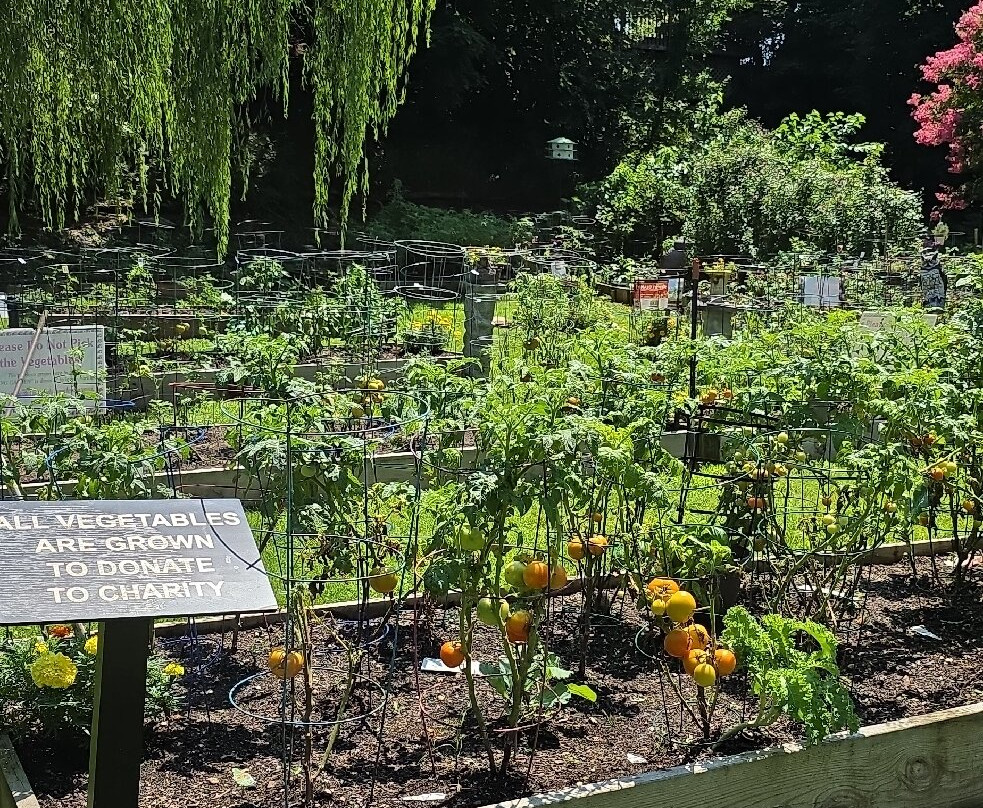 Floral Park Centennial Gardens-Floral Park必去景点