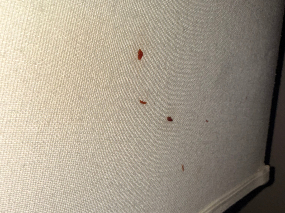 贝克城罗德威酒店主图