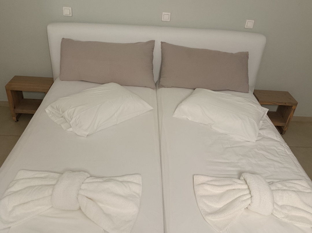 Kokkari Beach Hotel主图