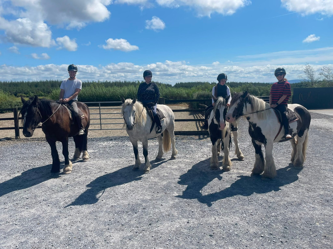 Mountain View Horse Riding Centre-Lisdoonvarna必去景点