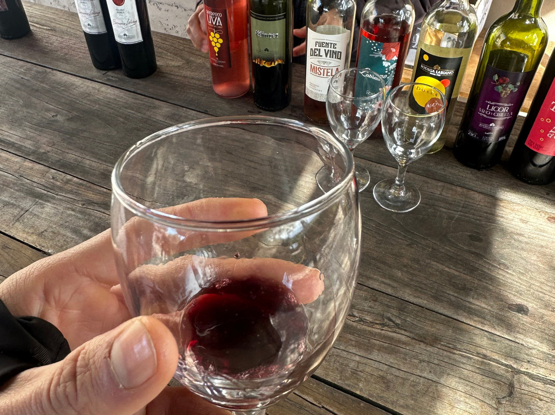 Bodega Labiano-圣拉斐尔必去景点