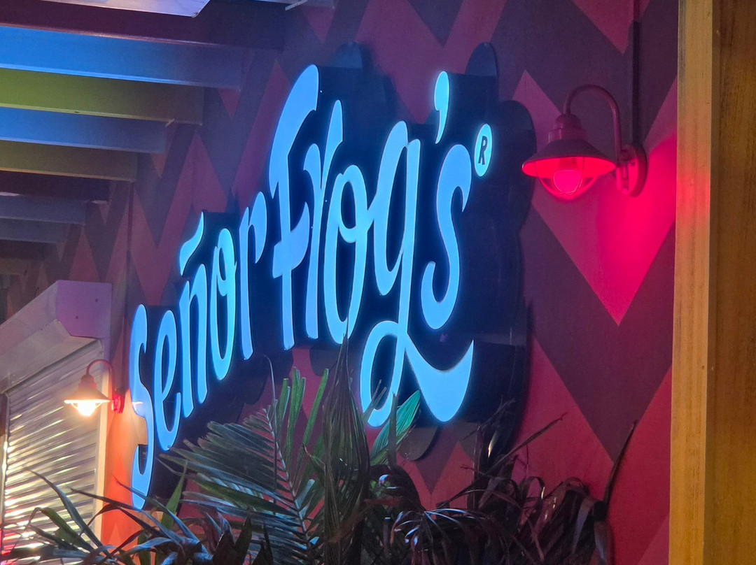 Señor Frog's Aruba