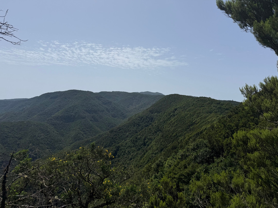 Ipalan Hiking Guided Tour-阿拉赫罗必去景点