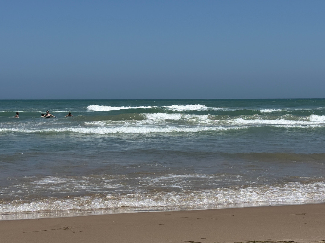南帕诸岛海滩拉昆塔温德姆套房酒店(South Padre Island Beach)主图