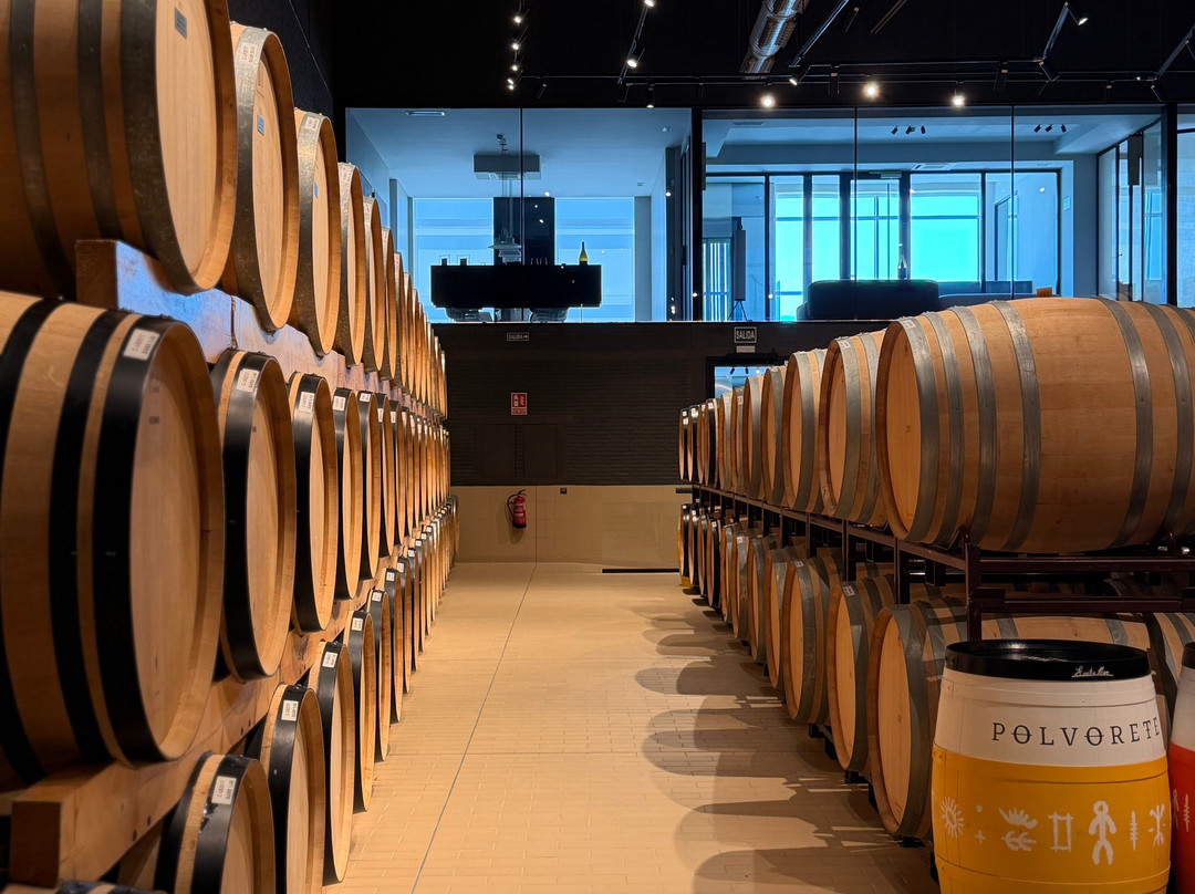 Bodegas Emilio Moro Bierzo-蓬费拉达必去景点