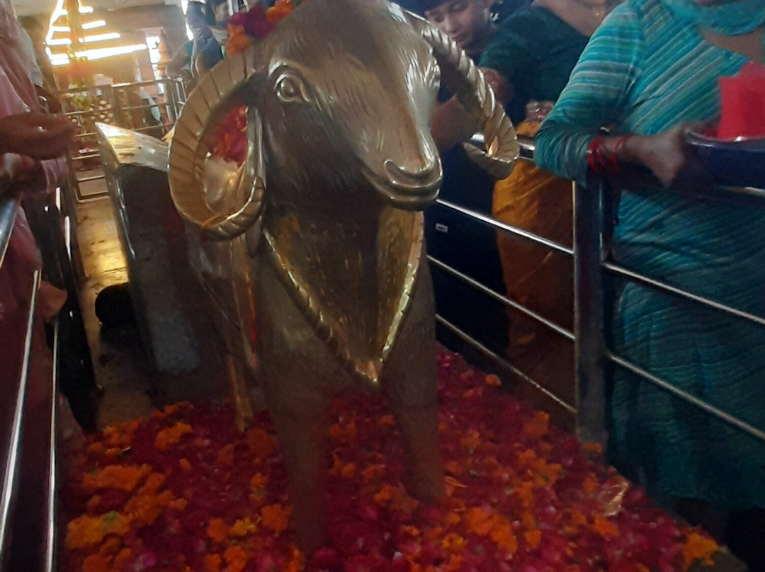 Mangalnath Temple-Ujjain District必去景点