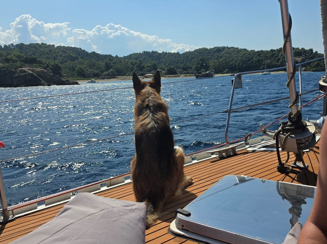 Waterandsnow-Skiathos Town必去景点