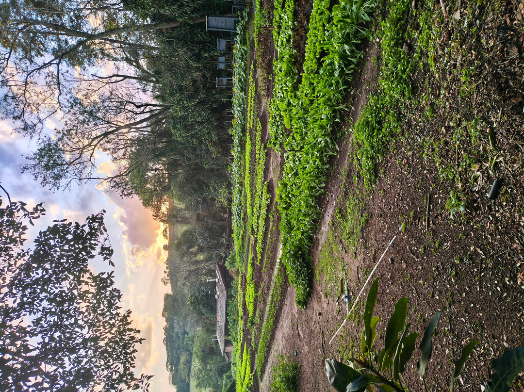 Hotel Fazenda Campo Dos Sonhos主图