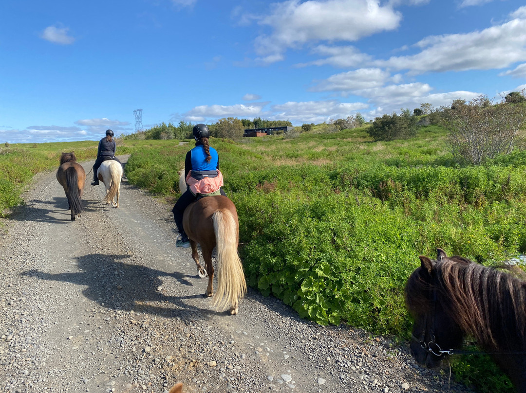 Vorsabær 2 - Horseback riding tours-塞尔福斯必去景点