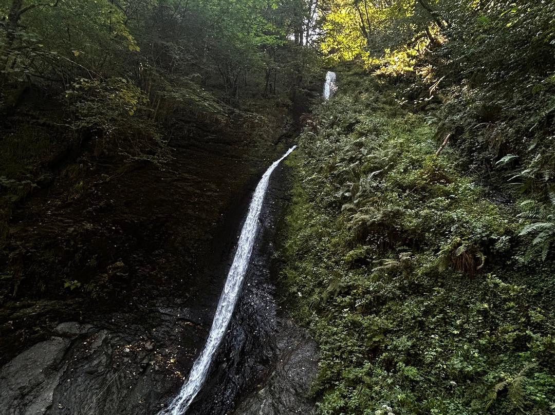 Lydford Gorge-Lydford必去景点