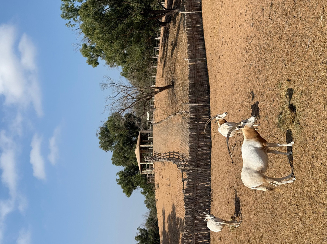 Parc Nacional de Souss-Massa-Takate必去景点