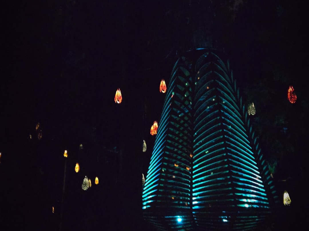 Redwoods Treewalk-罗托鲁瓦必去景点