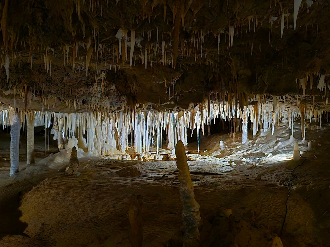 Grotte De Tourtoirac-Tourtoirac必去景点