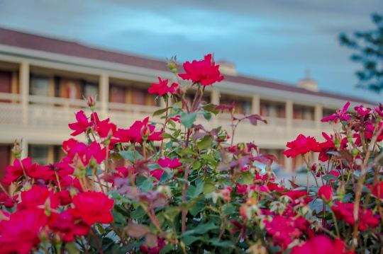 收获家庭汽车旅馆-旅行者