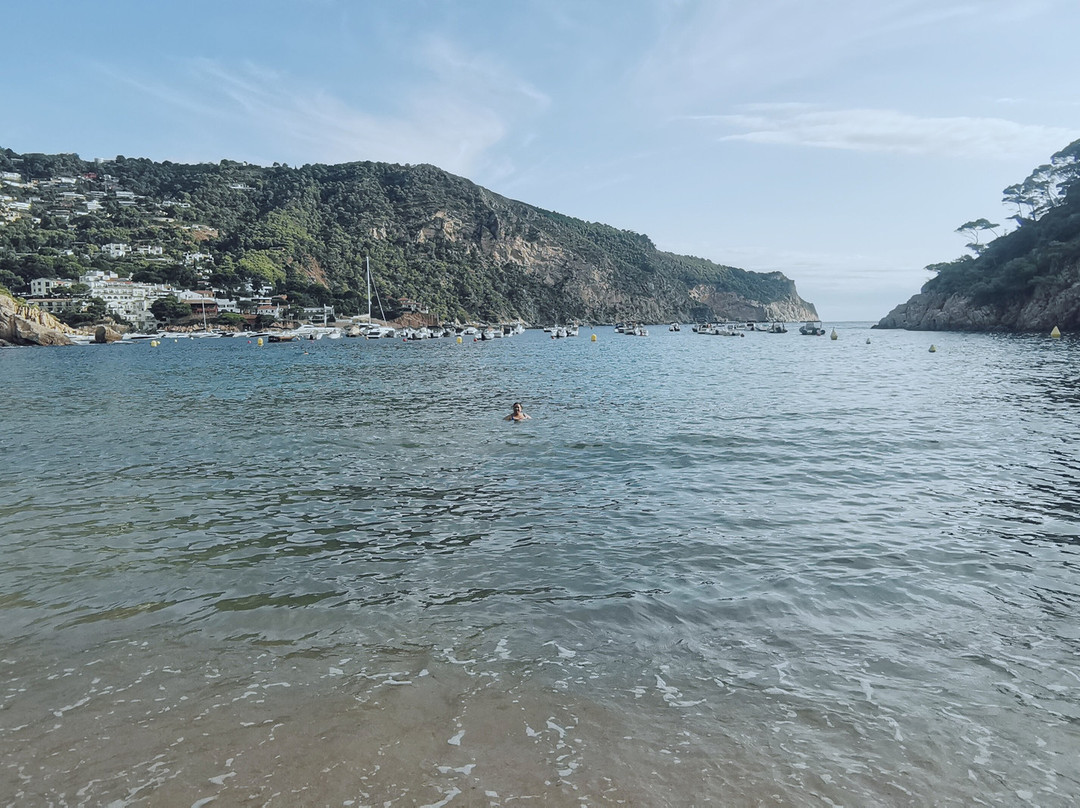 Platja Cala Aiguablava-贝格必去景点