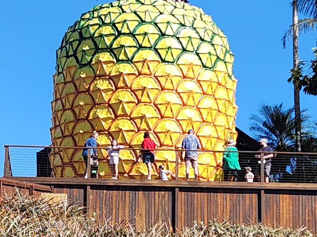 The Big Pineapple-Nambour必去景点