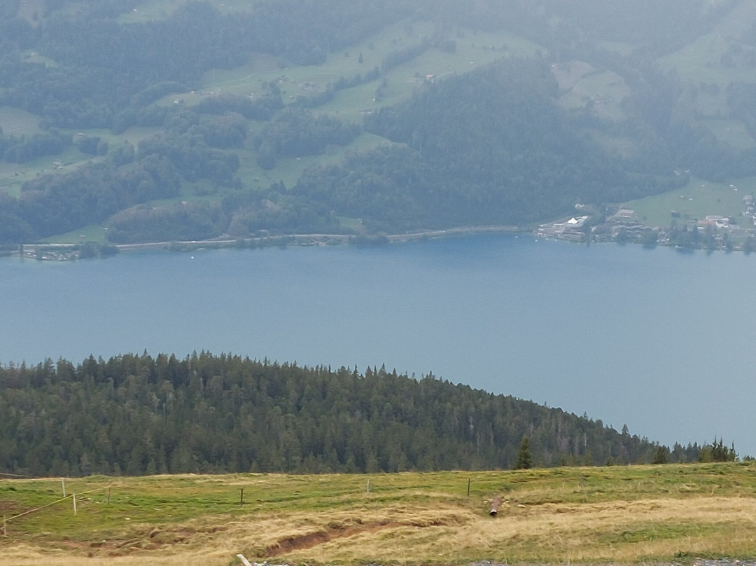 Niederhorn Berg-贝阿滕贝格必去景点