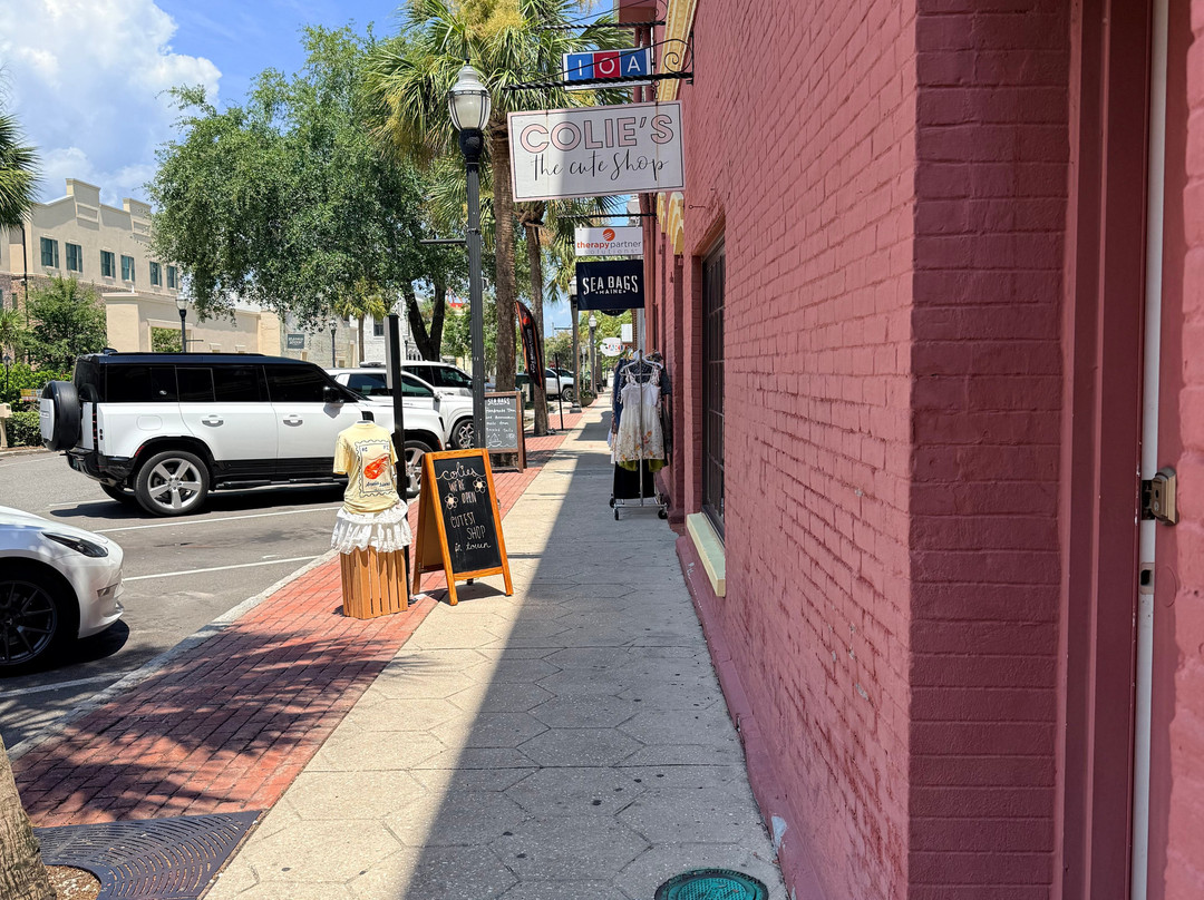 Fernandina Beach Historic District-阿米莉亚岛必去景点